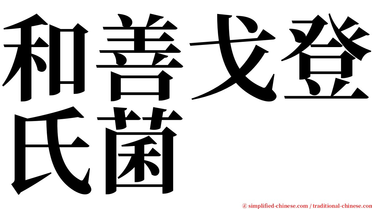 和善戈登氏菌 serif font