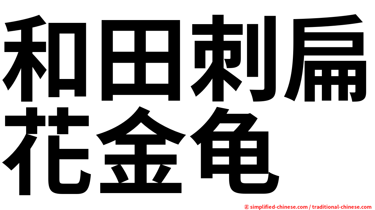 和田刺扁花金龟