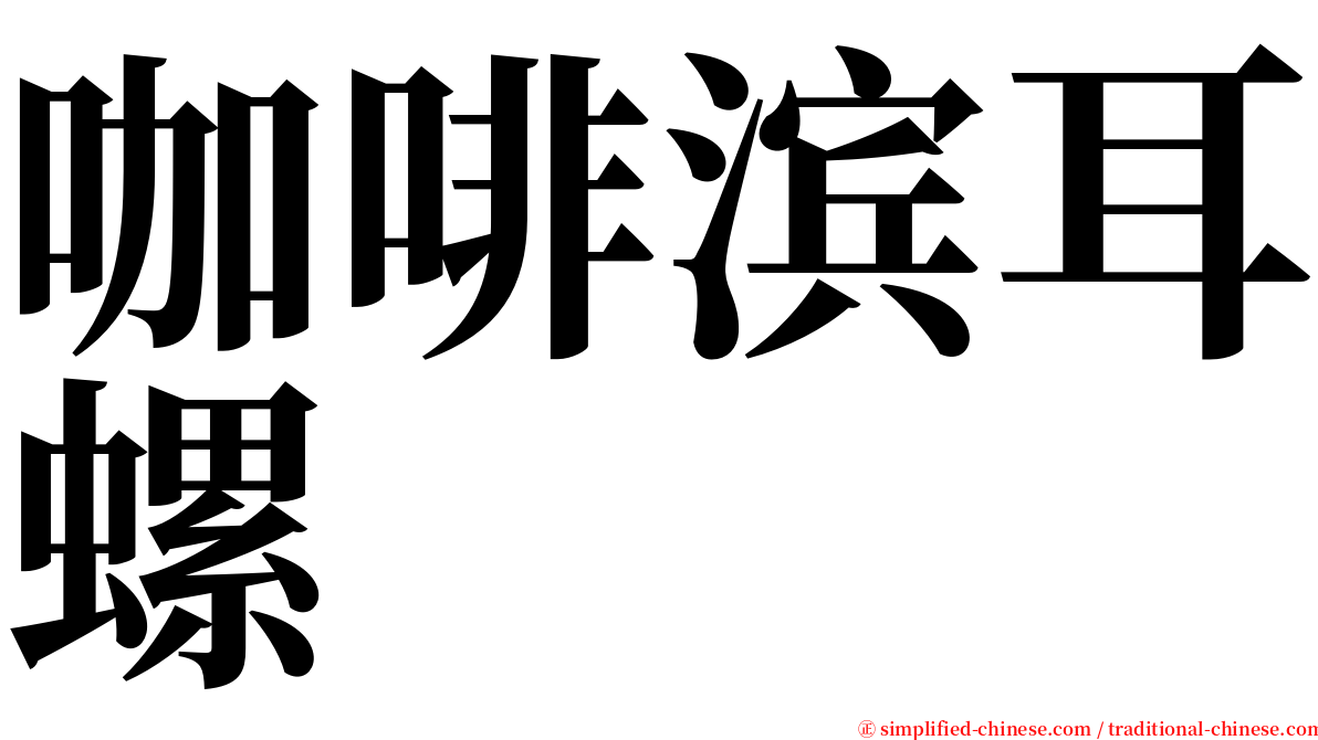 咖啡滨耳螺 serif font