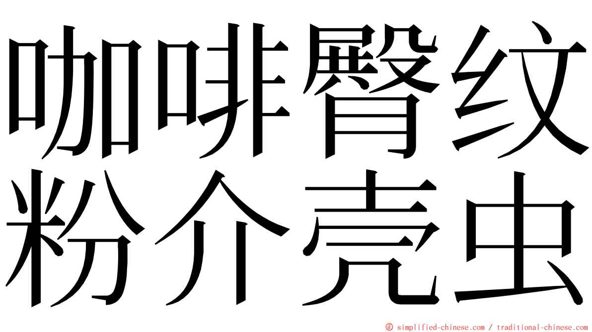 咖啡臀纹粉介壳虫 ming font