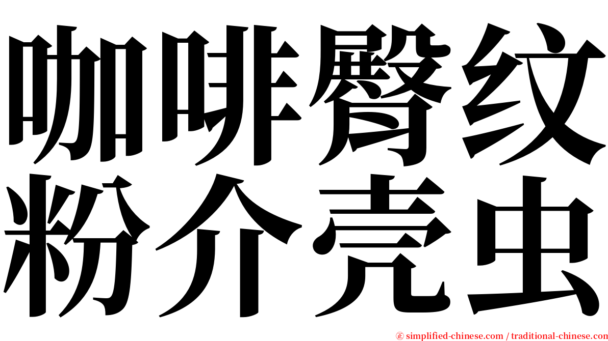 咖啡臀纹粉介壳虫 serif font