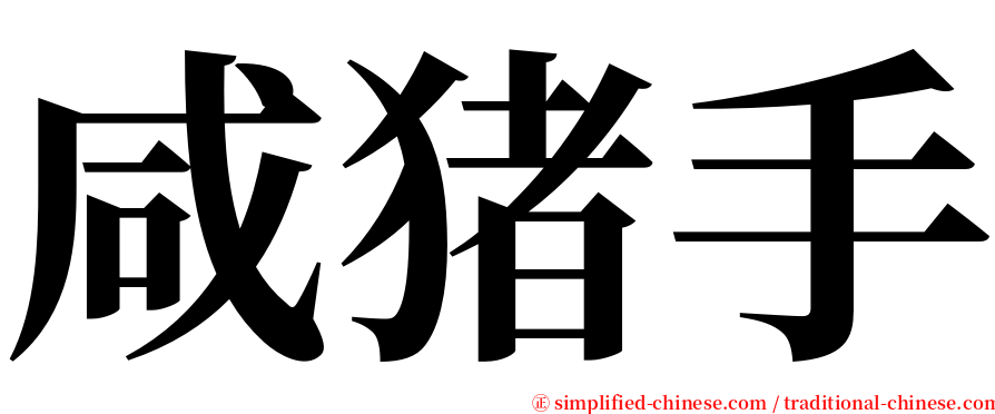 咸猪手 serif font