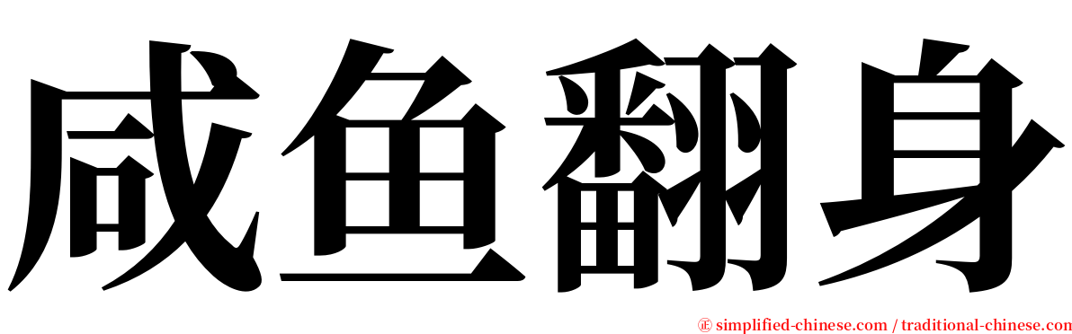 咸鱼翻身 serif font