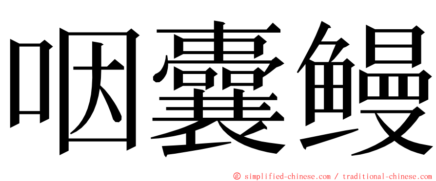 咽囊鳗 ming font