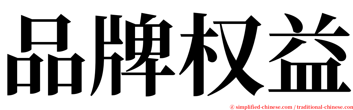 品牌权益 serif font