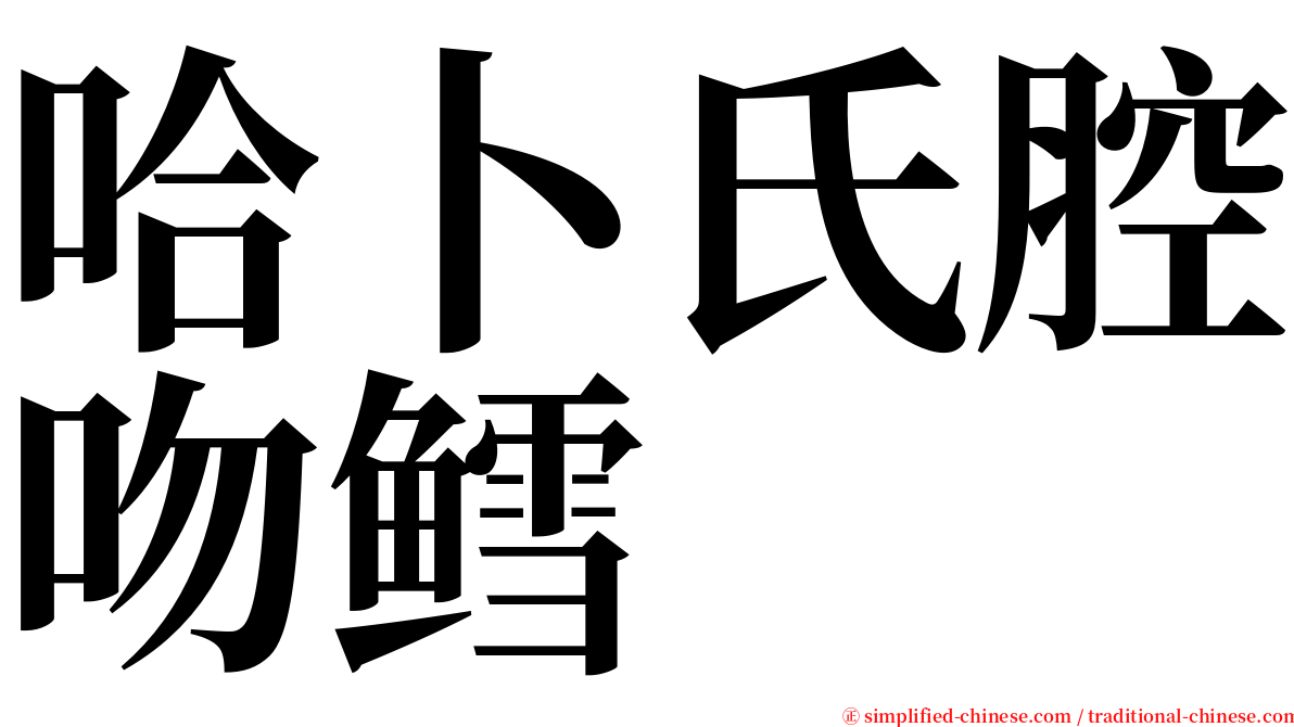 哈卜氏腔吻鳕 serif font