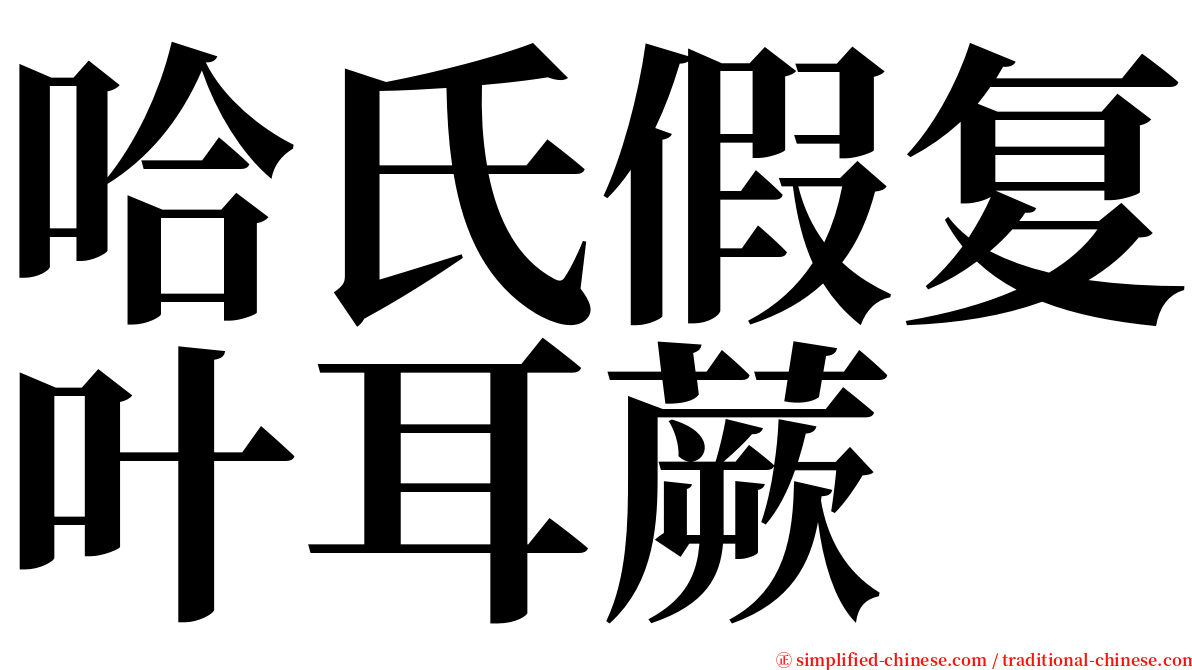 哈氏假复叶耳蕨 serif font