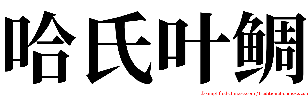 哈氏叶鲷 serif font