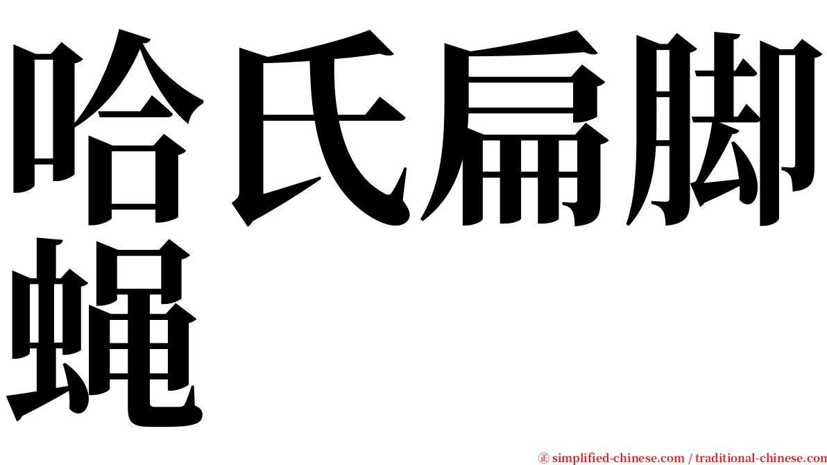 哈氏扁脚蝇 serif font