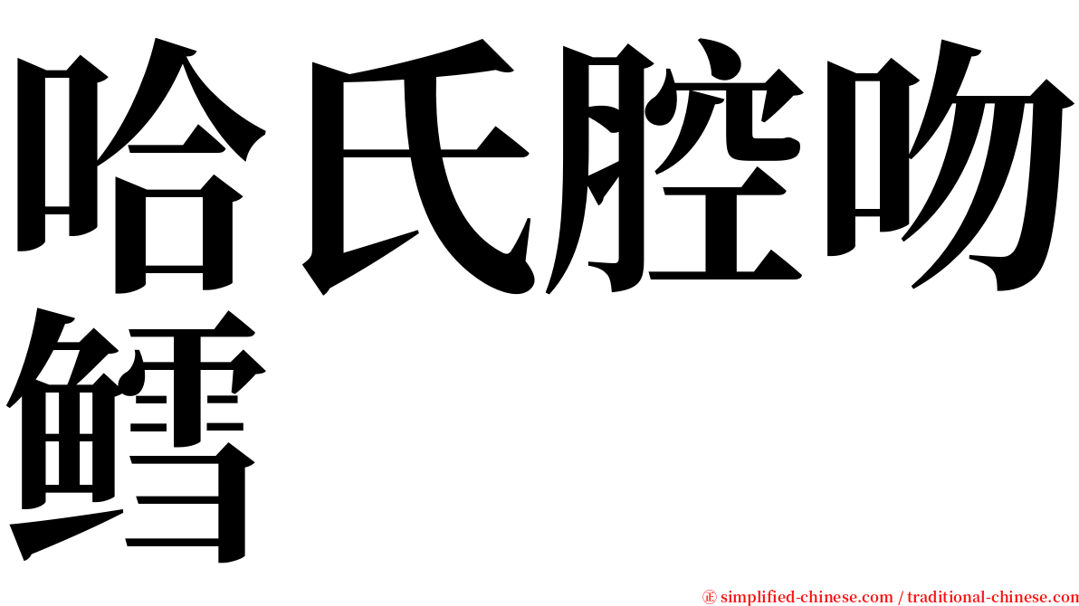 哈氏腔吻鳕 serif font