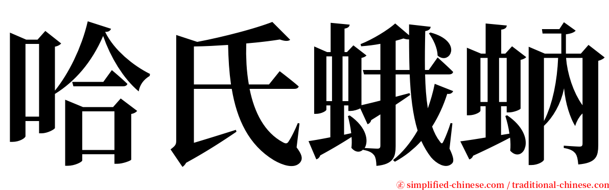 哈氏蛾蚋 serif font