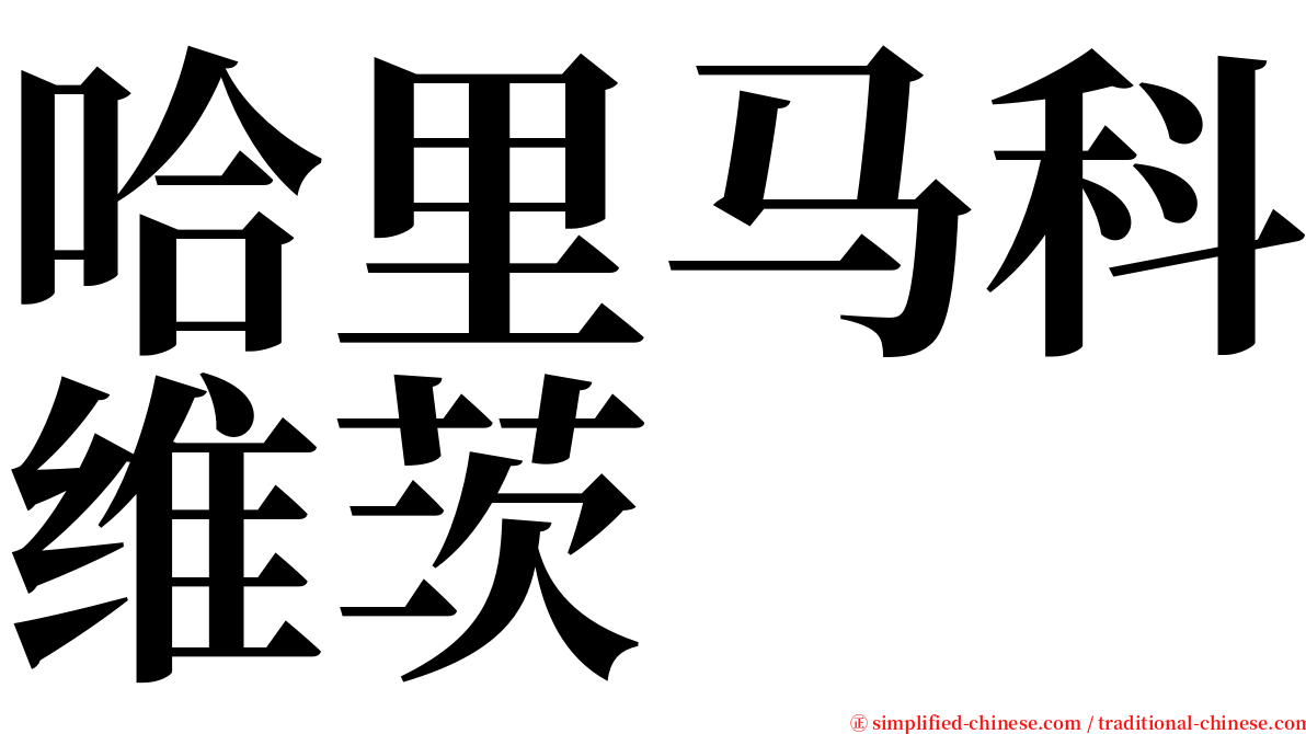 哈里马科维茨 serif font