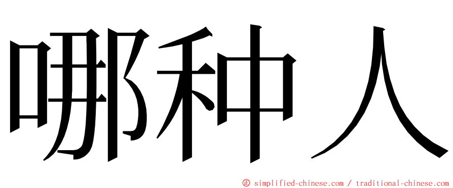 哪种人 ming font