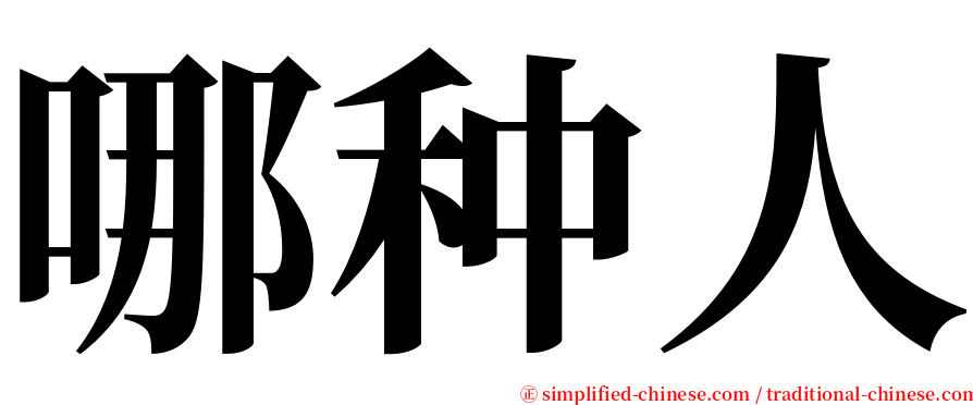 哪种人 serif font