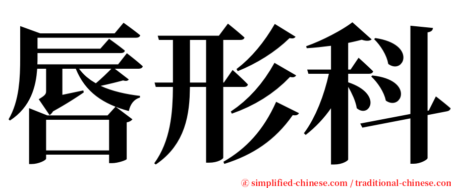 唇形科 serif font