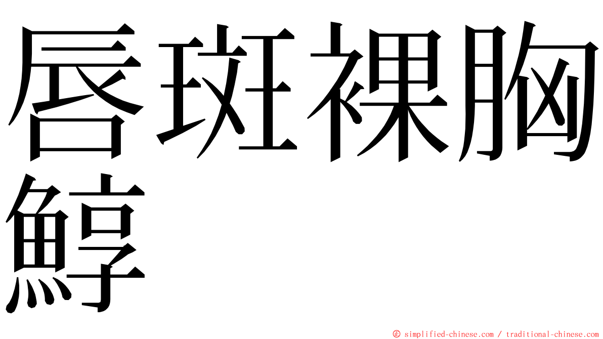 唇斑裸胸鯙 ming font