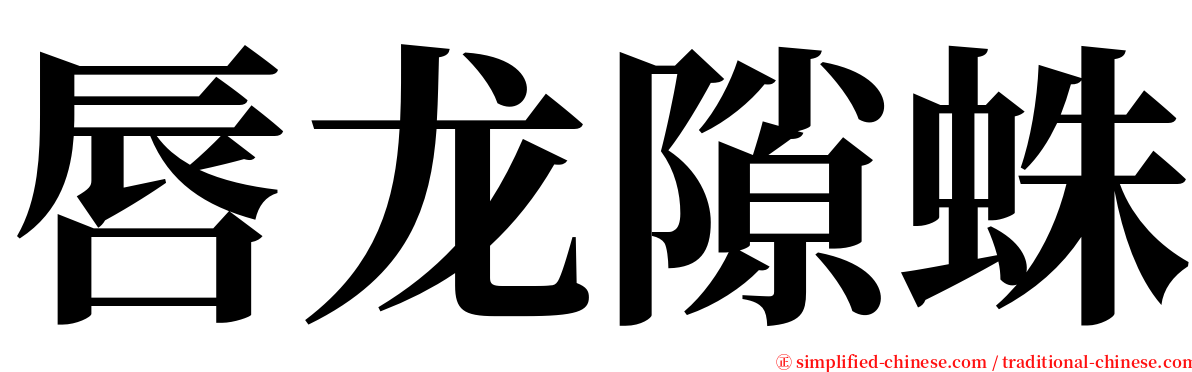 唇龙隙蛛 serif font