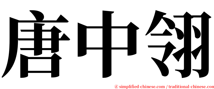 唐中翎 serif font