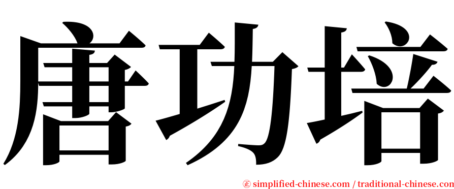 唐功培 serif font