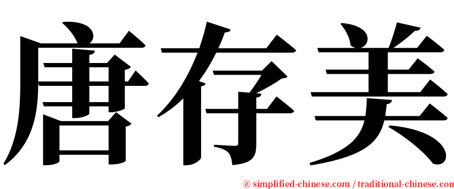 唐存美 serif font