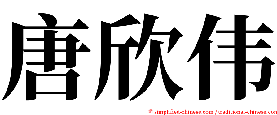 唐欣伟 serif font