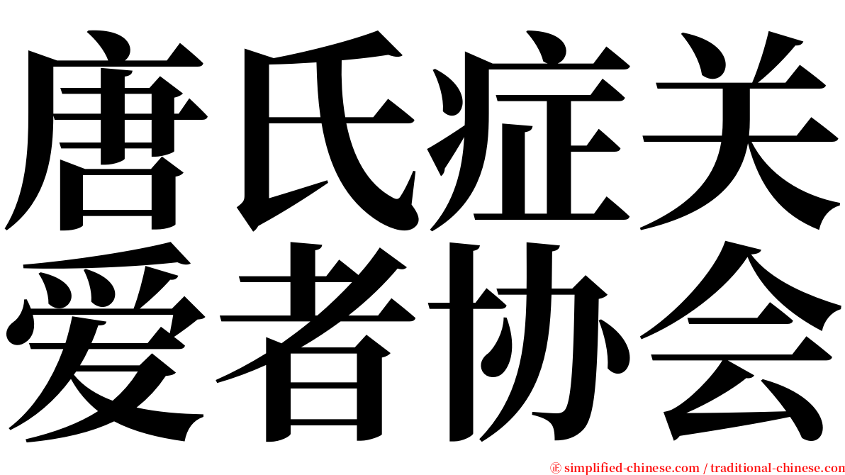 唐氏症关爱者协会 serif font