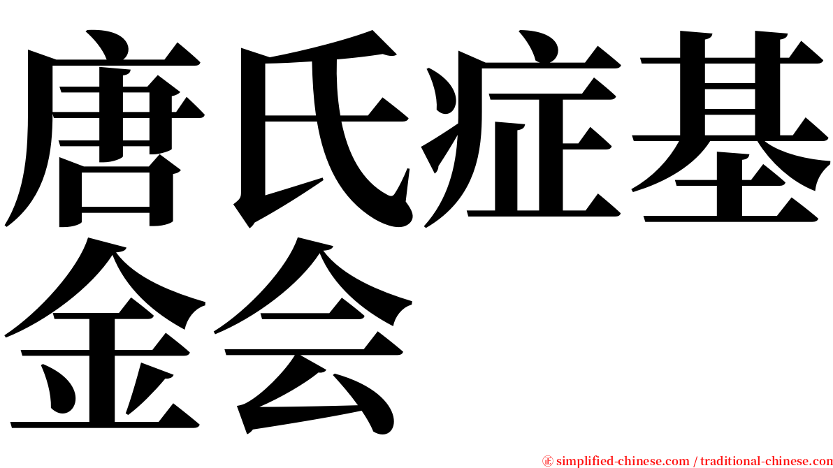 唐氏症基金会 serif font