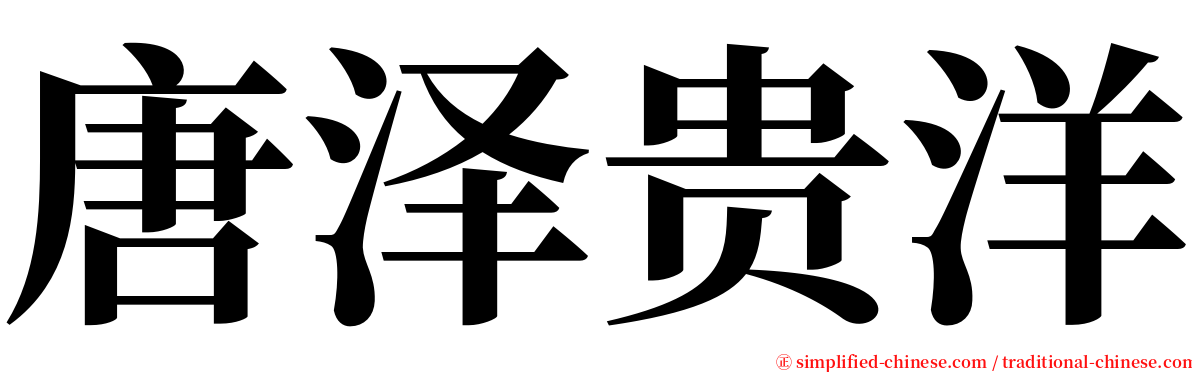 唐泽贵洋 serif font