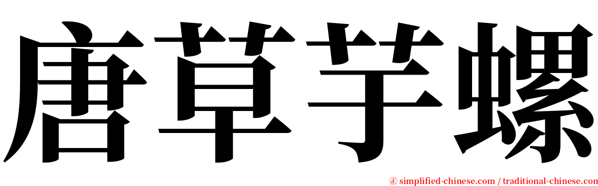 唐草芋螺 serif font