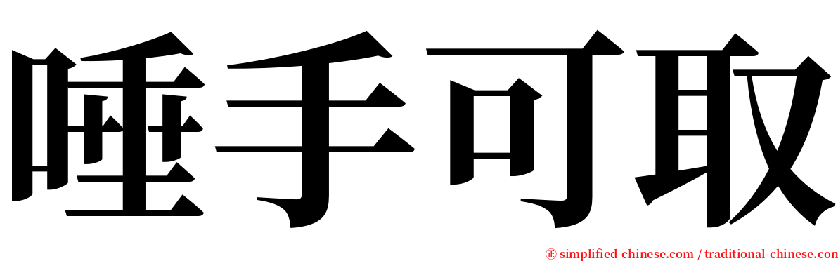 唾手可取 serif font