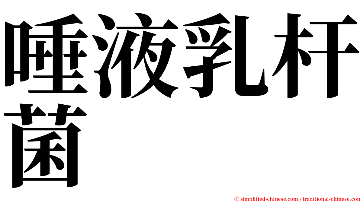 唾液乳杆菌 serif font