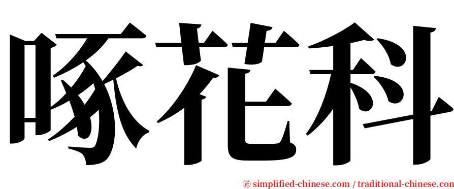 啄花科 serif font