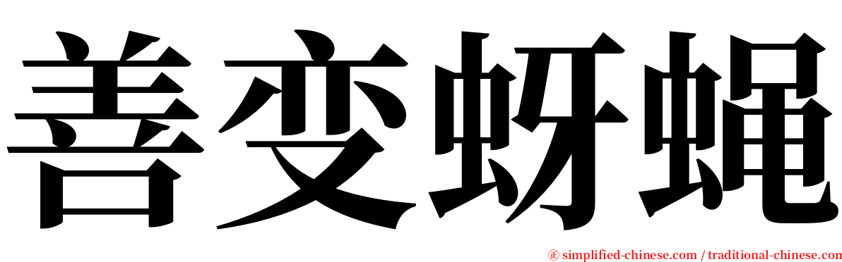 善变蚜蝇 serif font