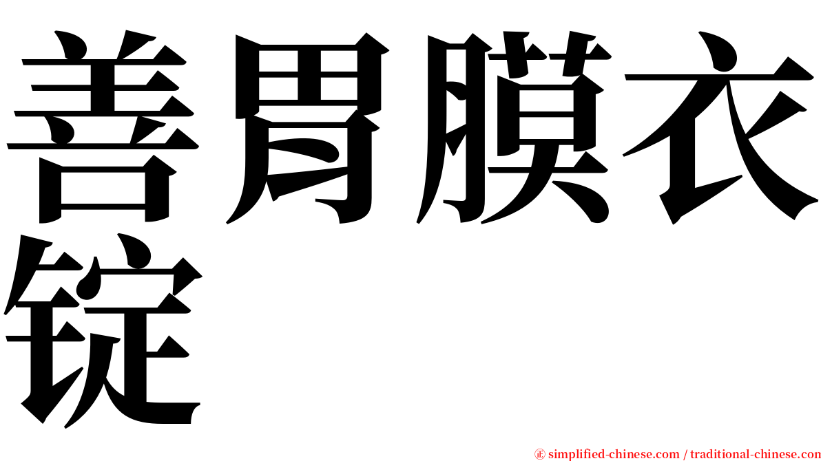 善胃膜衣锭 serif font