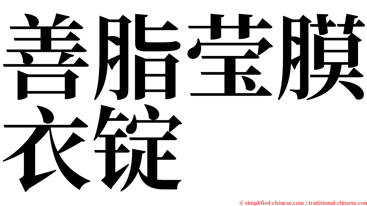 善脂莹膜衣锭 serif font