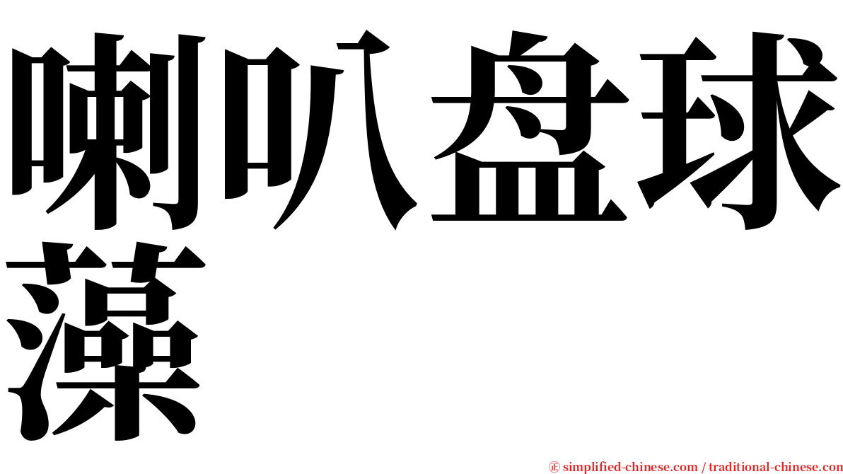 喇叭盘球藻 serif font