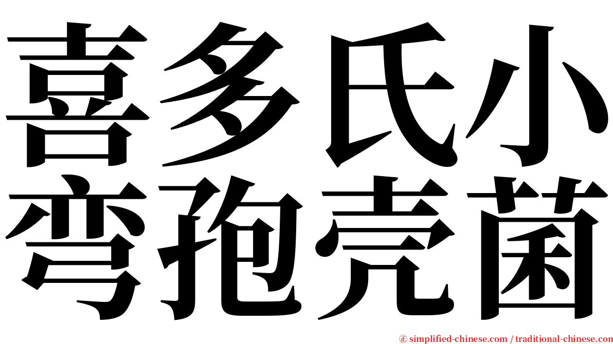 喜多氏小弯孢壳菌 serif font