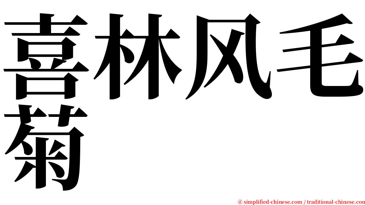 喜林风毛菊 serif font