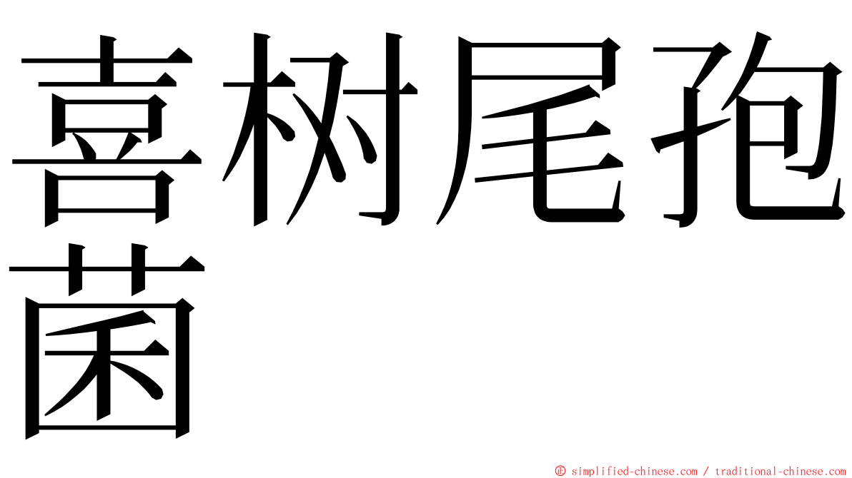 喜树尾孢菌 ming font