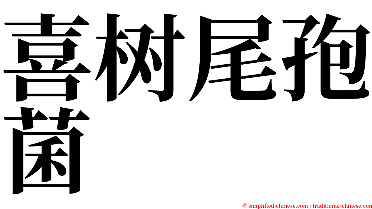 喜树尾孢菌 serif font