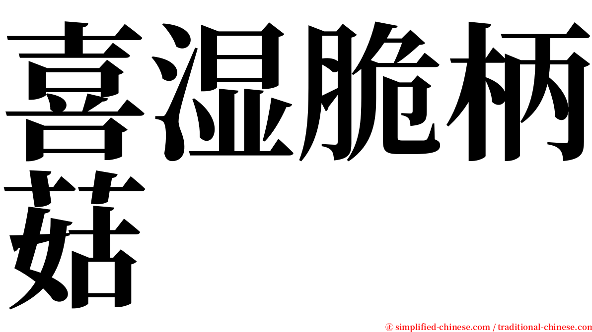 喜湿脆柄菇 serif font