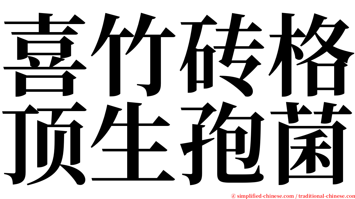 喜竹砖格顶生孢菌 serif font