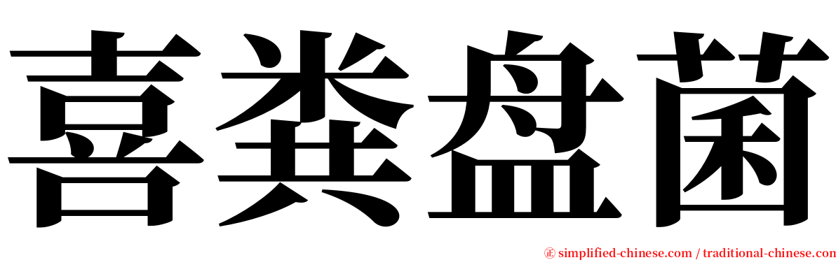 喜粪盘菌 serif font