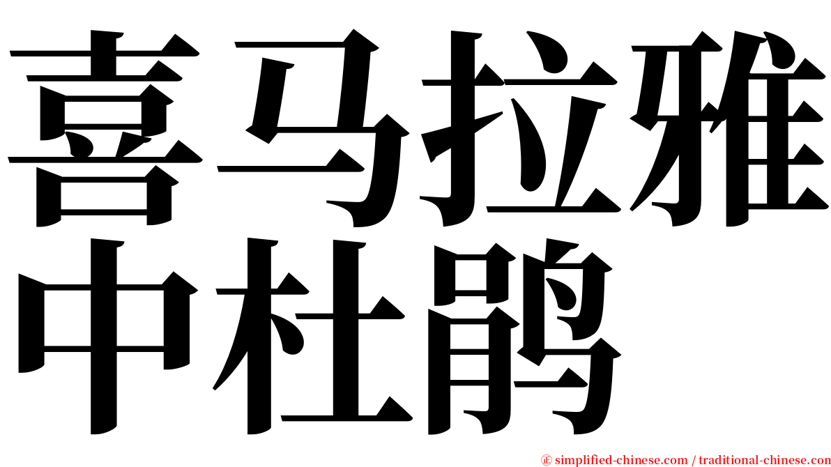 喜马拉雅中杜鹃 serif font