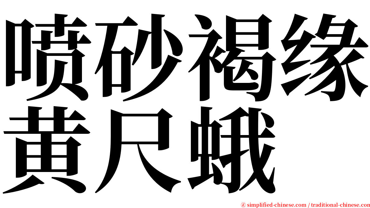 喷砂褐缘黄尺蛾 serif font