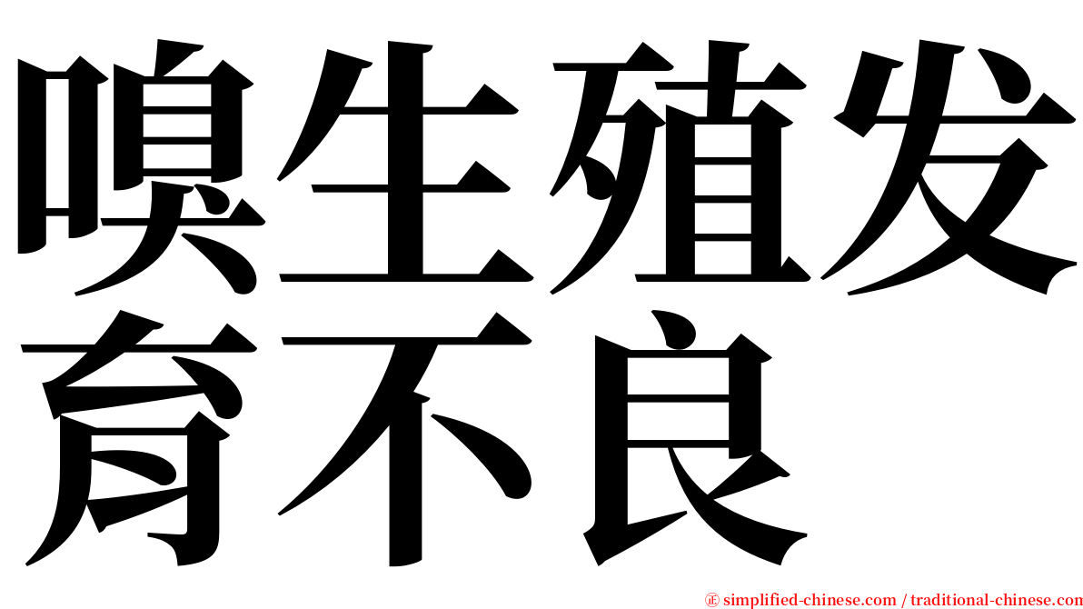 嗅生殖发育不良 serif font