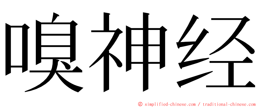 嗅神经 ming font