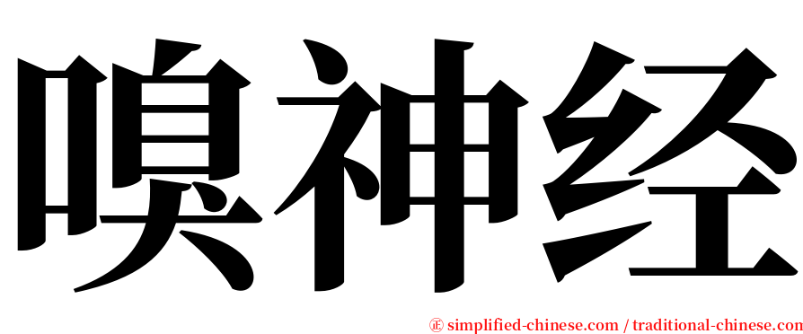 嗅神经 serif font