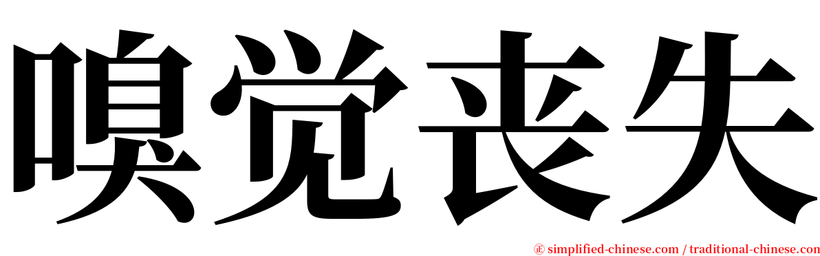 嗅觉丧失 serif font