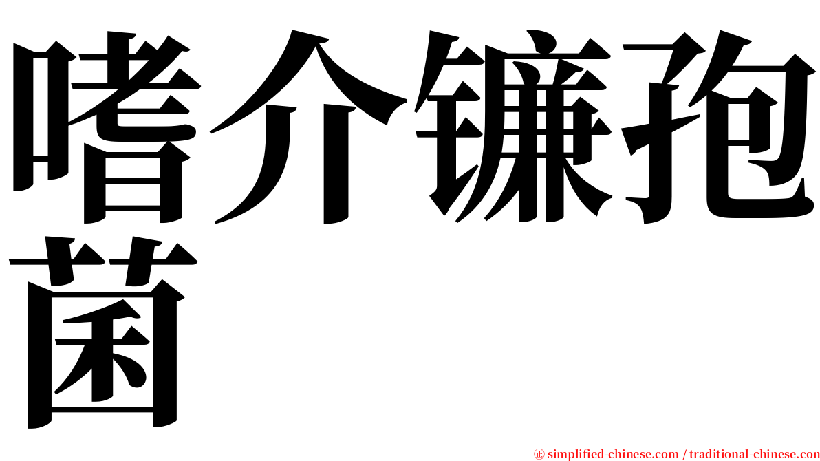 嗜介镰孢菌 serif font